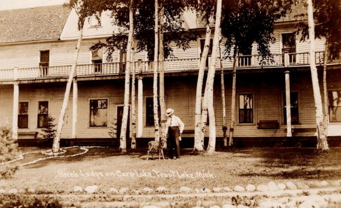 Birch Lodge (Birch Lodge Motel) - Old Postcard